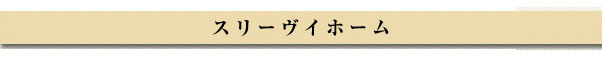 スリーヴイホーム
